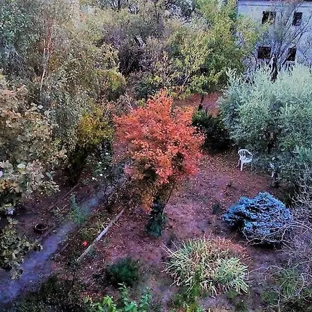 ベッド・アンド・ブレックファスト Il Giardino Dei Merli *