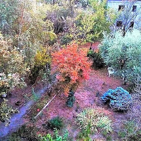 Bed and breakfast Il Giardino Dei Merli *