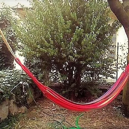 Il Giardino Dei Merli